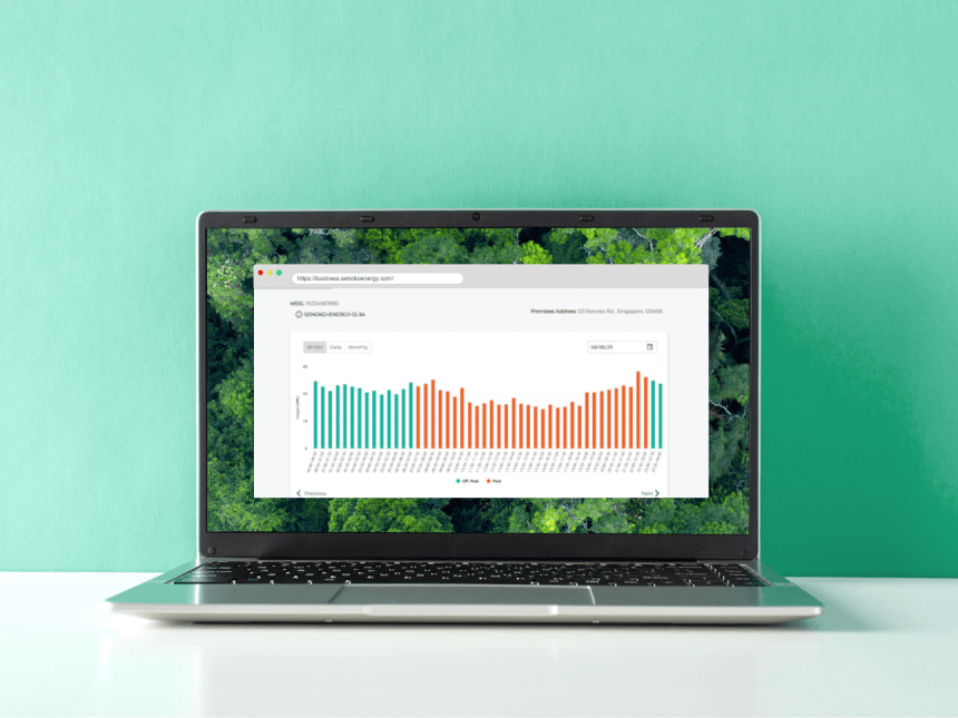 Senoko Energy business portal - usage graphs down to 30 minutes