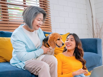 EcoSmart Homes teaser